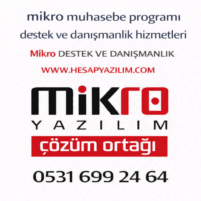 Mikro Muhasebe Programı Destek