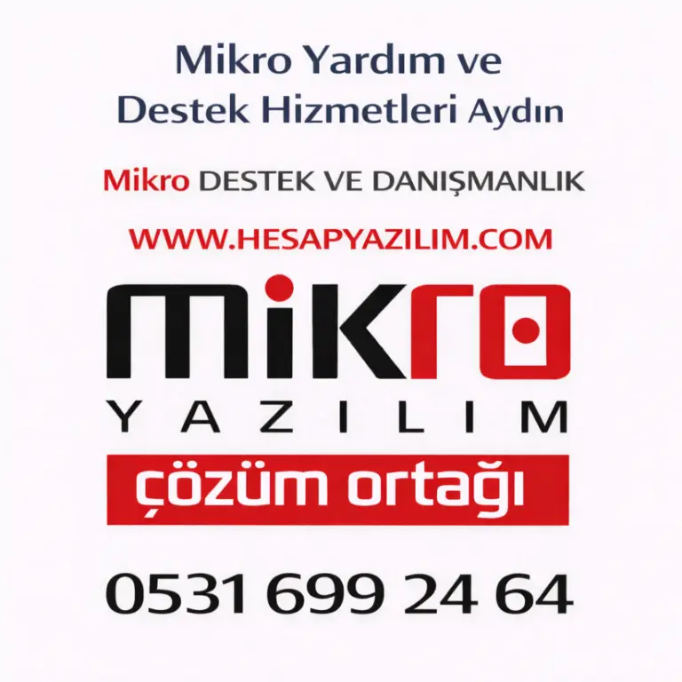 mikro yardım ve destek hizmetleri aydın