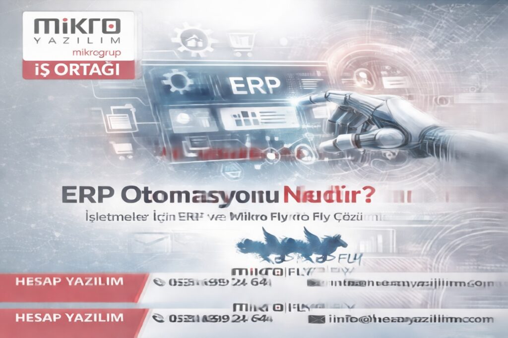 Mikro e-Fatura Nasıl Kullanılır