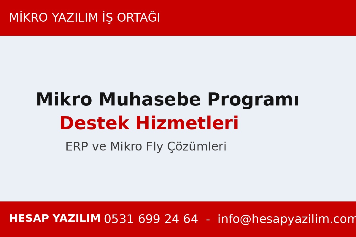 Mikro Muhasebe Programı Destek Hizmetleri