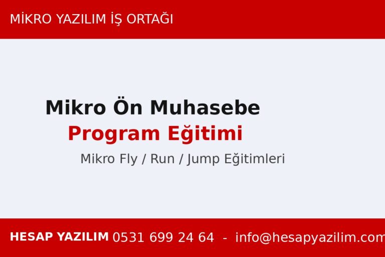 Mikro Ön Muhasebe