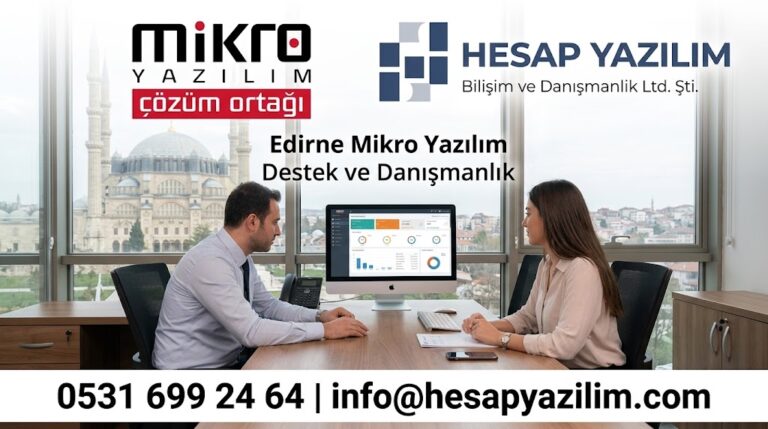 mikro yazılım destek ve danışmanlık