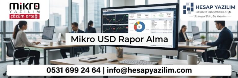 mikro usd rapor alma nasıl yapılır