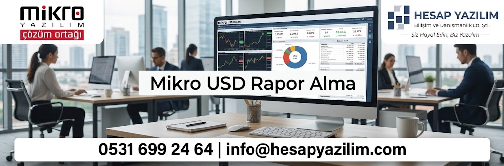 mikro usd rapor alma nasıl yapılır